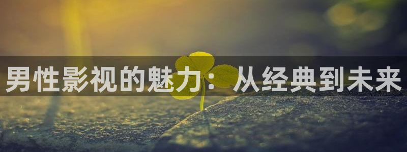 熊猫影院在线观看：男性影视的魅力：从经典到未来