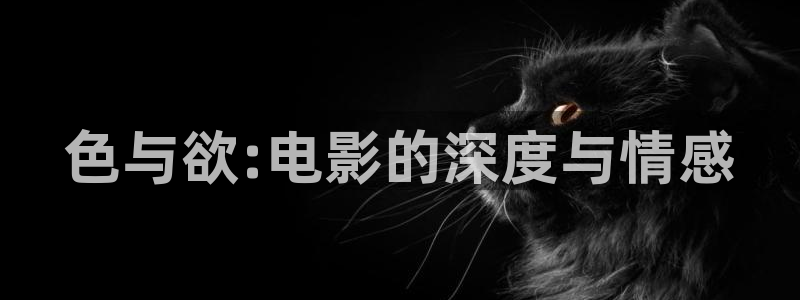 熊猫电影yy6y6：色与欲:电影的深度与情感