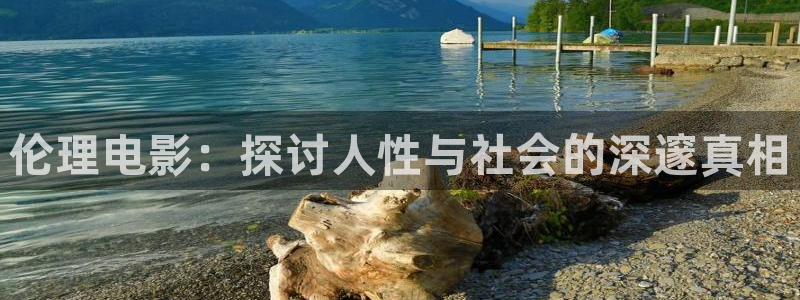 熊猫电影yy8y3怎么看高清：伦理电影：探讨人性与社会的深邃真相