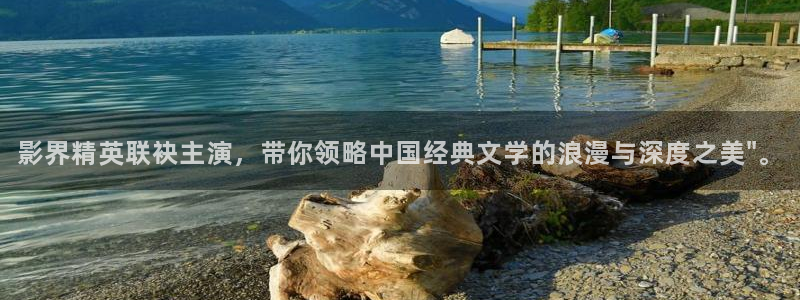 熊猫电影yy8y3(5)：影界精英联袂主演，带你领略中国经典文学的浪漫与深度之美\