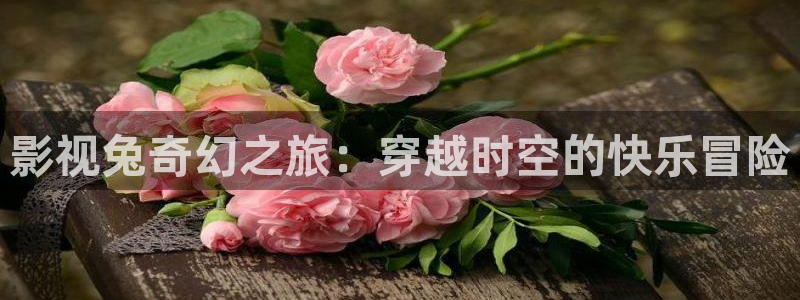 熊猫电影yy8免费播放：影视兔奇幻之旅：穿越时空的快乐冒险