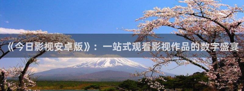 熊猫电影y8y8(4)：《今日影视安卓版》：一站式观看影视作品的数字盛宴