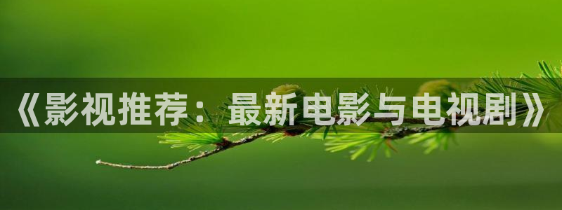 熊猫影院网：《影视推荐：最新电影与电视剧》