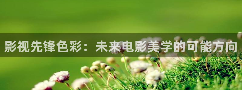 熊猫电影yy8y1免费看高清：影视先锋色彩：未来电影美学的可能方向