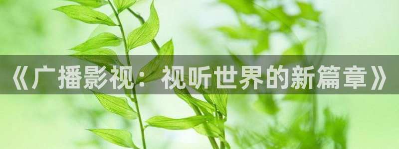 熊猫电影yy8y8高清版怎么看：《广播影视：视听世界的新篇章》
