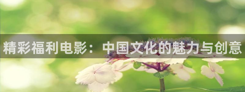 熊猫电影yy8y8免费看哪里：精彩福利电影：中国文化的魅力与创意