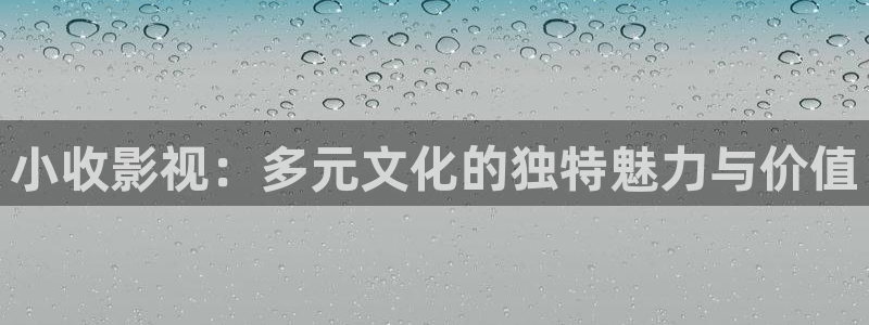 熊猫免费影视在线观看：小收影视：多元文化的独特魅力与价值