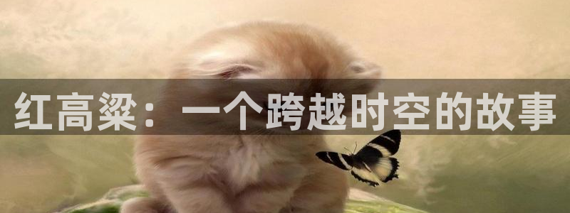 熊猫的电视：红高粱：一个跨越时空的故事