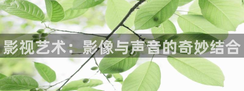 熊猫看片：影视艺术：影像与声音的奇妙结合