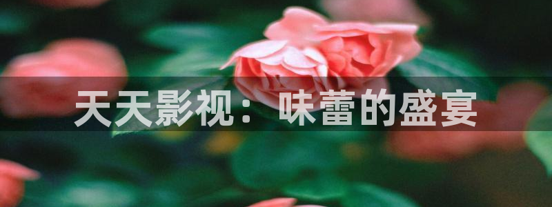 熊猫电影网站免费观看：天天影视：味蕾的盛宴