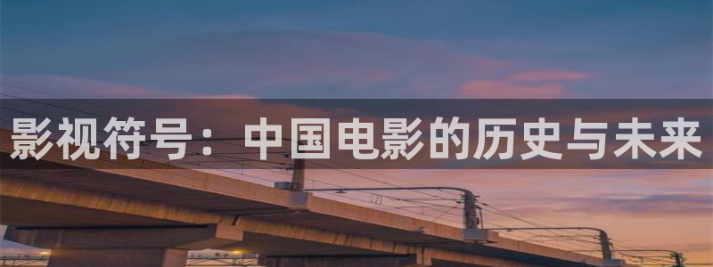 熊猫侠电影免费观看：影视符号：中国电影的历史与未来